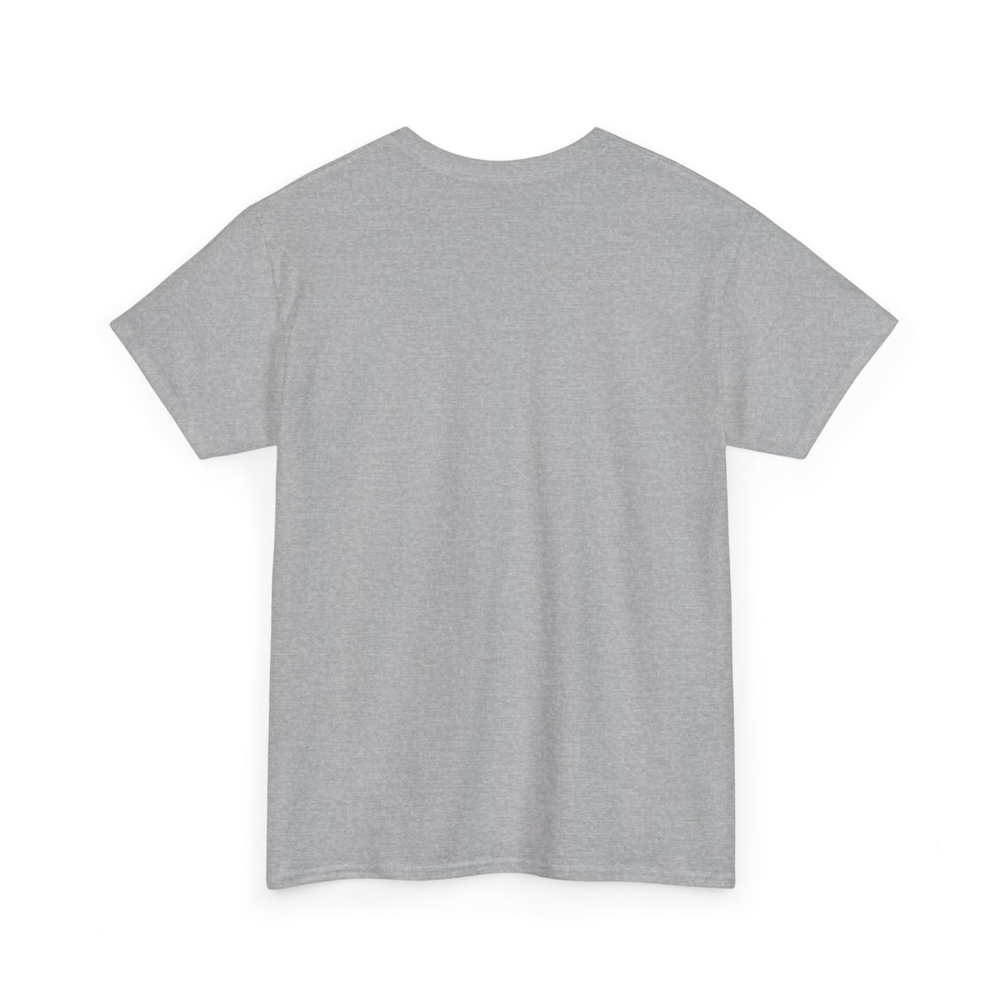 Unisex Heavy Cotton Tee with 'Use Your Common Sense Today' Print | Casual Style, Everyday Wear, Gift Idea, Motivational Shirt, [...]