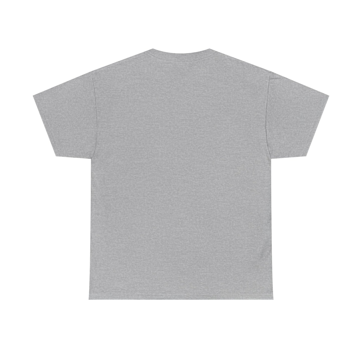 Unisex Heavy Cotton Tee with 'Use Your Common Sense Today' Print | Casual Style, Everyday Wear, Gift Idea, Motivational Shirt, [...]