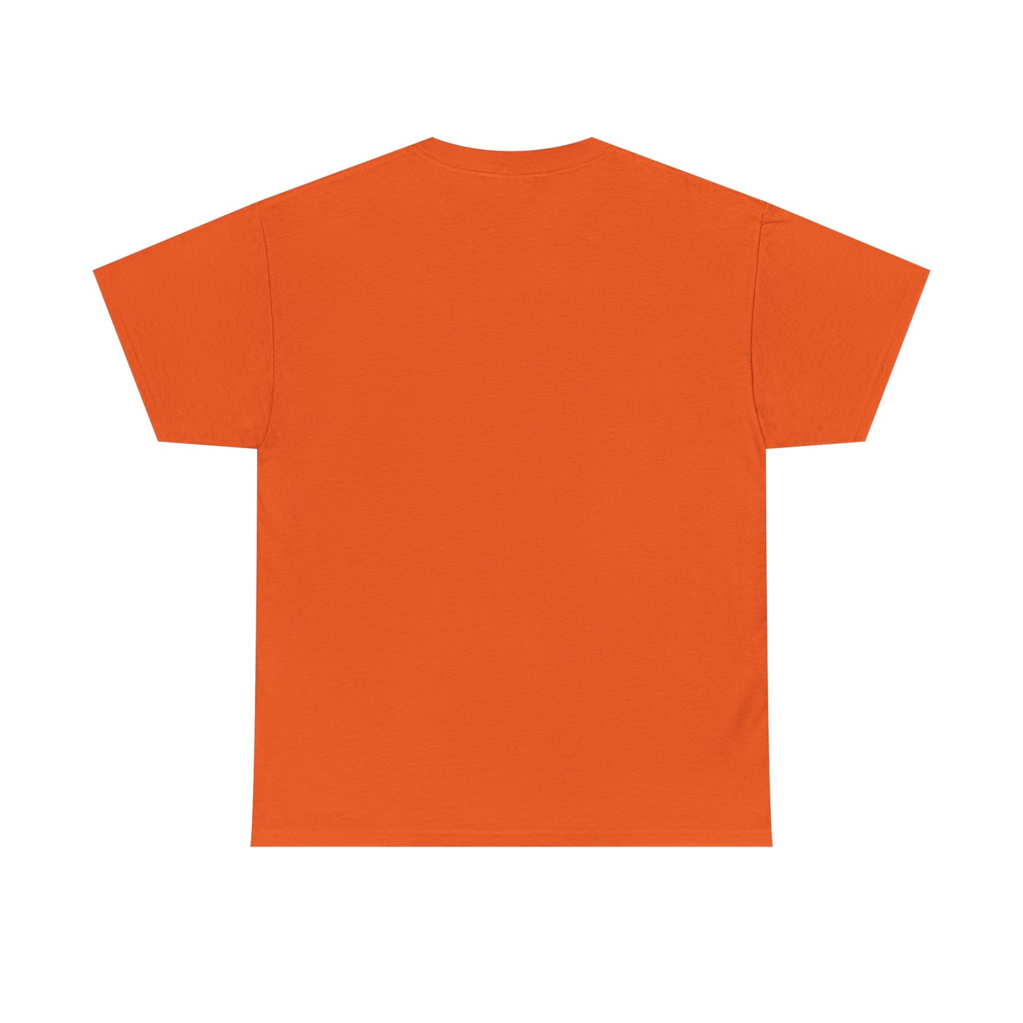 Unisex Heavy Cotton Tee with 'Use Your Common Sense Today' Print | Casual Style, Everyday Wear, Gift Idea, Motivational Shirt, [...]